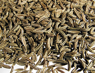 Caraway Seed