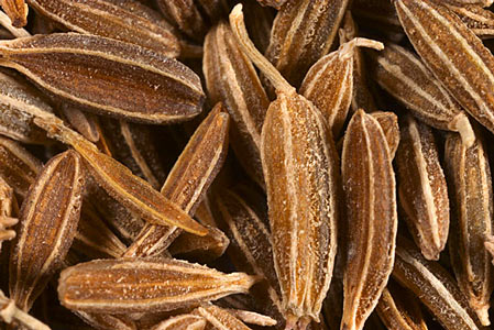 Cumin Seed SCO2
