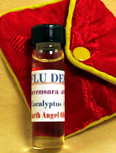 Flu Seasonal Support Blend #2