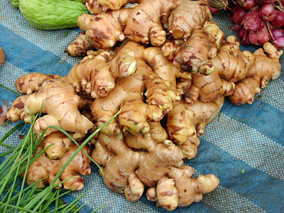 Ginger RootCO2