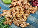 Ginger Root Fresh SD Indonesia