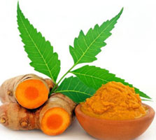 Turmeric CO2 Essential Oil