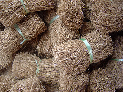 Vetiver Root #3