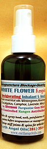 White Flower Spray